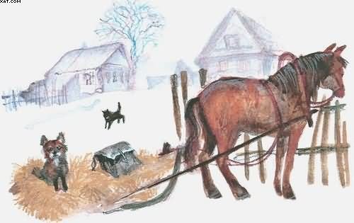Рассказы о всякой живности - i_006.jpg