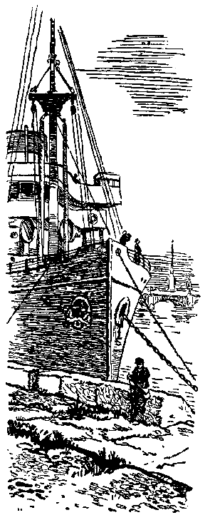 Тарантул (илл. Н. Кочергина) - pic_32.png