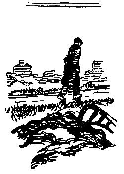 Тарантул (илл. Н. Кочергина) - pic_36.png