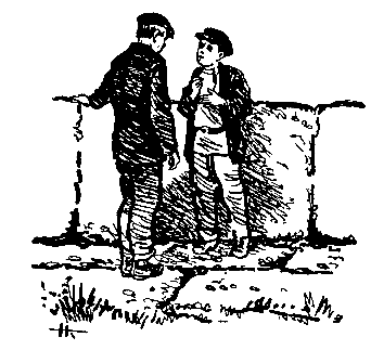 Тарантул (илл. Н. Кочергина) - pic_53.png