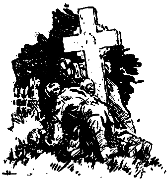 Тарантул (илл. Н. Кочергина) - pic_78.png