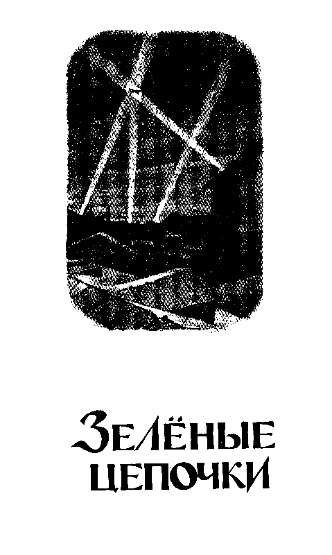 Тарантул (худ. А. В. Яркин) - pic_3.png