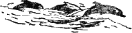 ОДИССЕЯ КАПИТАНА БЛАДА - i_035.png