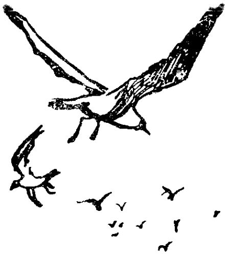 Республика девяти звёзд - i_011.png
