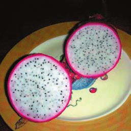 Кактусы - _37.jpg