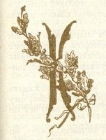 Грибуль - i_006.jpg