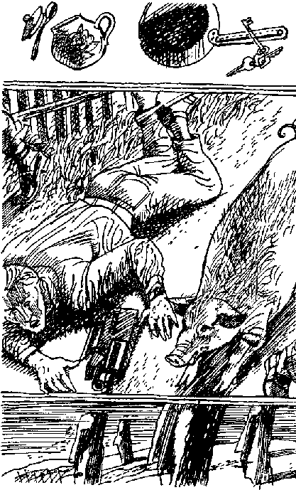 Марсианское путешествие (сборник) - pic_9.png