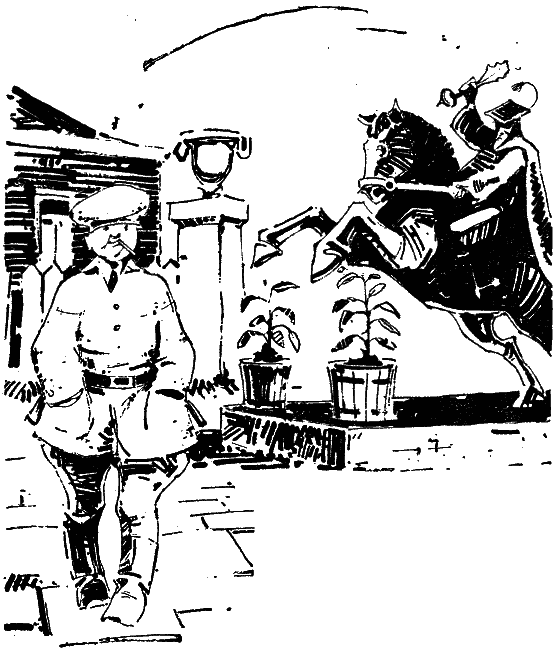 Том 1. Двенадцать стульев - i_071.png