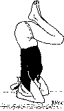 Древние тантрические техники йоги и крийи. Продвинутый курс - image113.png