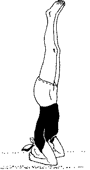 Древние тантрические техники йоги и крийи. Продвинутый курс - image115.png