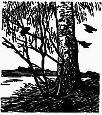 Том 3. Журавлиная родина. Календарь природы - i_008.png