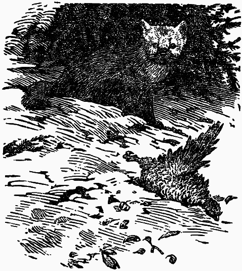 Том 4. Жень-шень. Серая Сова. Неодетая весна - i_014.png