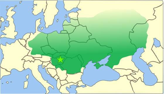 Нашествие. Суровые законы - i_042.jpg