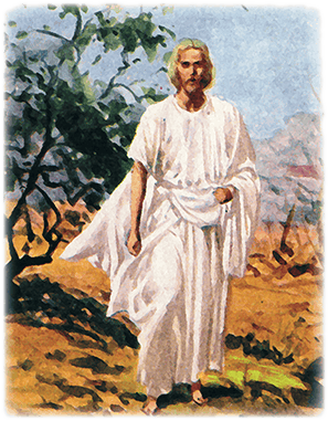 Библейские рассказы - i_053.png