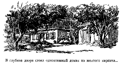 В дебрях Центральной Азии (записки кладоискателя) - pic_3.png