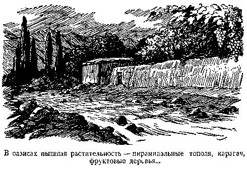 В дебрях Центральной Азии (записки кладоискателя) - pic_41.png