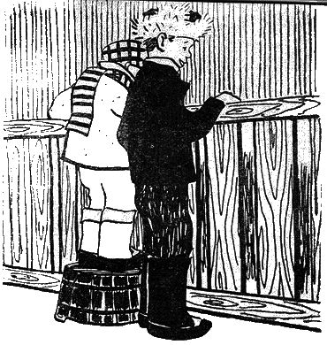 Сторожки из свиной щетинки - i_013.png