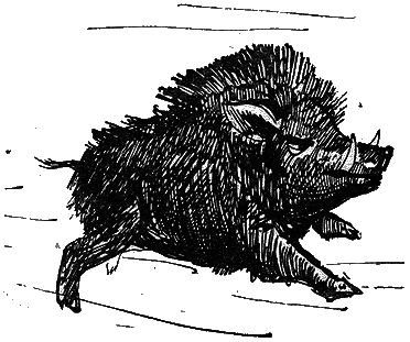 Сторожки из свиной щетинки - i_020.png