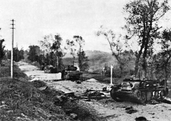 Иной 1941. От границы до Ленинграда - i_020.jpg