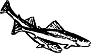 Тук Тукыч - i_008.png
