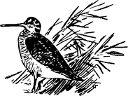 Тук Тукыч - i_038.png