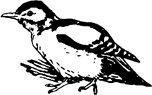 Тук Тукыч - i_044.png