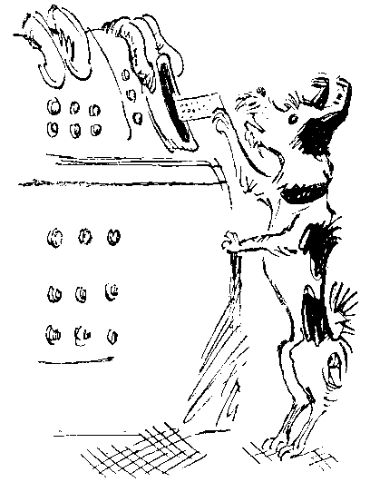 Черный свет (сборник) - pic_35.png