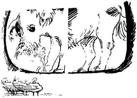 Черный свет (сборник) - pic_37.png