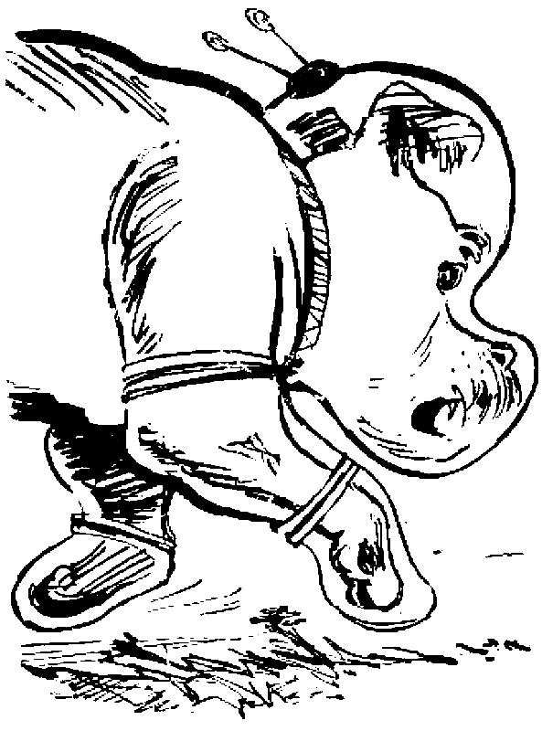 Черный свет (сборник) - pic_44.png