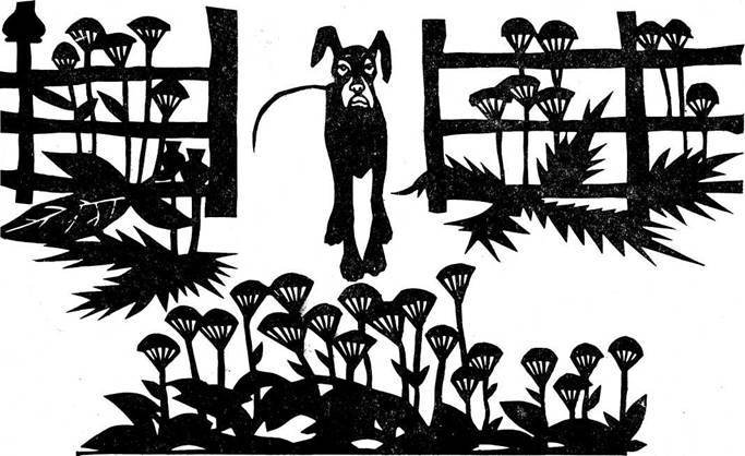 Каникулы кота Егора (с илл.) - image012.jpg