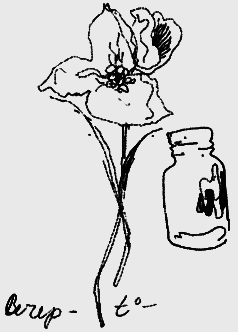 Мартиролог. Дневники - i_085.png