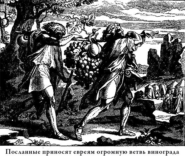 Иллюстрированная Библия для детей - i_023.png