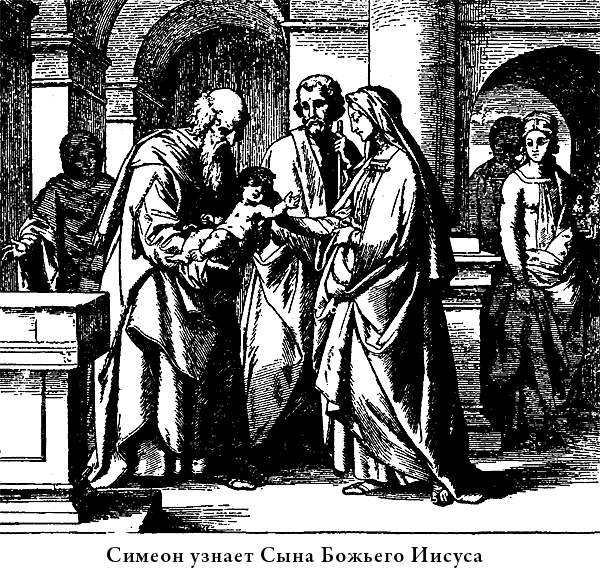 Иллюстрированная Библия для детей - i_037.png