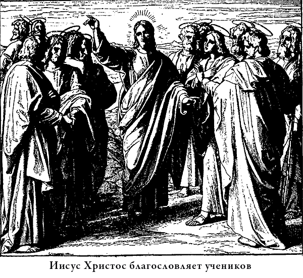Иллюстрированная Библия для детей - i_064.png