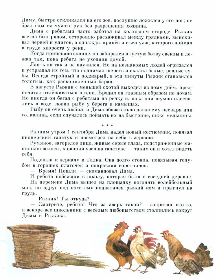 Рыжик - _18.jpg