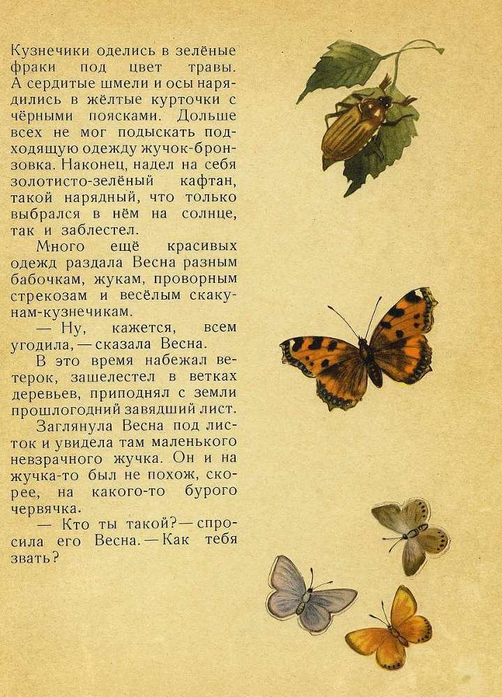 Лесной голосок - _10.jpg