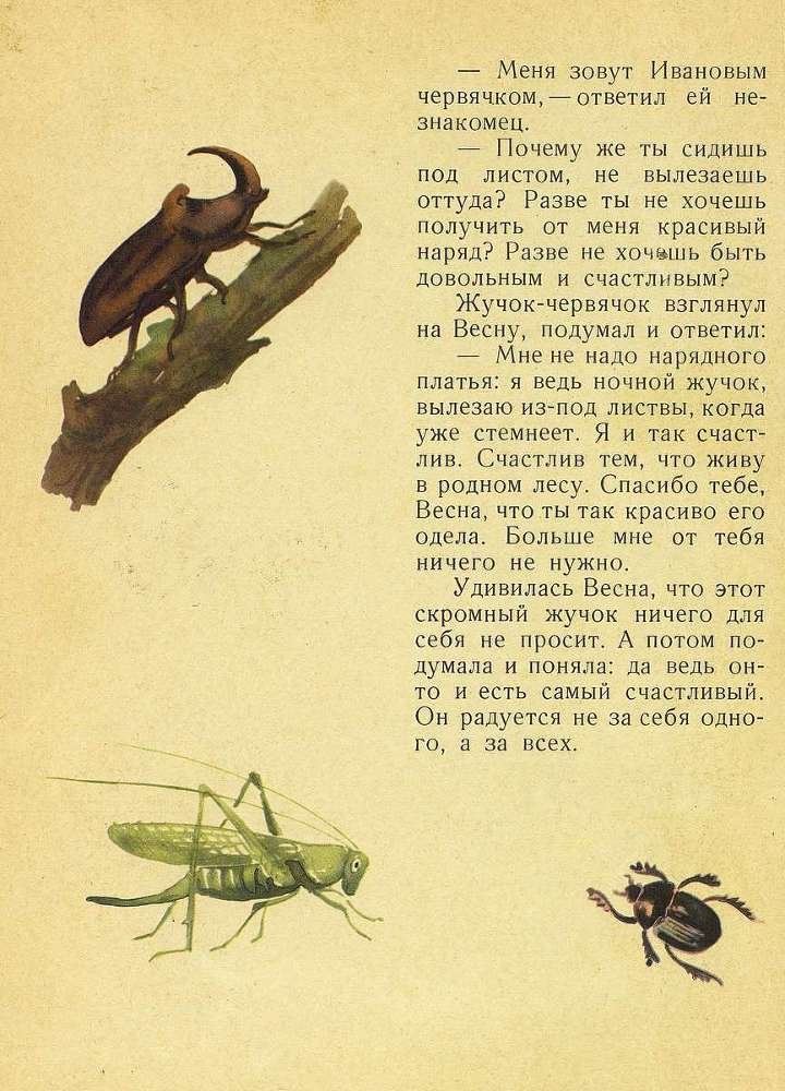 Лесной голосок - _11.jpg