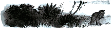 Под крыльцом - img38.png
