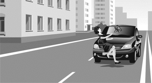 100 способов избежать аварии. Спецкурс для водителей категории В - _241.jpg