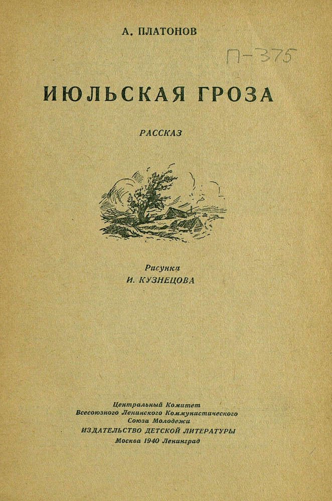 Июльская гроза - _3.jpg