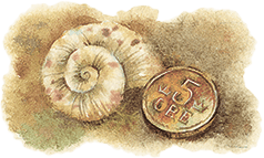 Расмус-бродяга (с иллюстрациями) - i_003.png