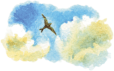 Расмус-бродяга (с иллюстрациями) - i_015.png