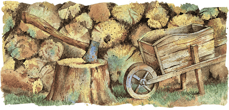 Расмус-бродяга (с иллюстрациями) - i_016.png
