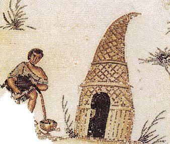 Всеобщая история. История Древнего мира. 5 класс - i_244.jpg