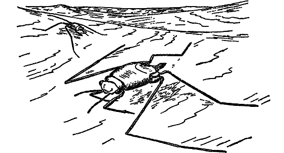В мире насекомых - i_012.png