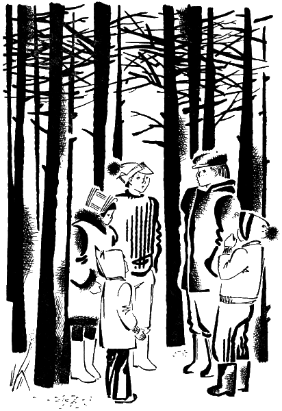В голубых снегах - i_006.png