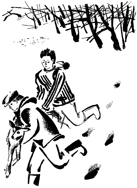 В голубых снегах - i_009.png