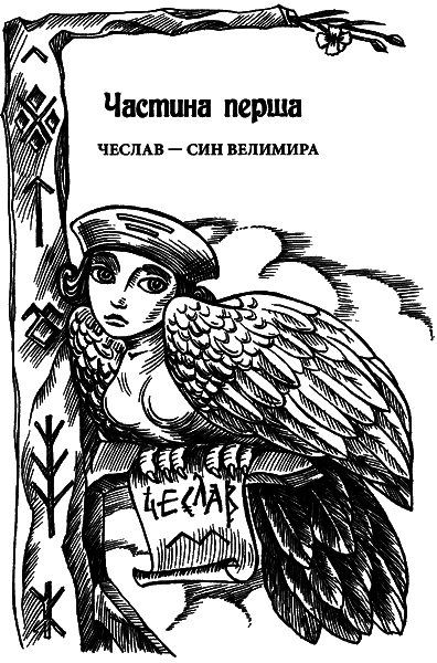 Чеслав. В темряві сонця - i_003.png