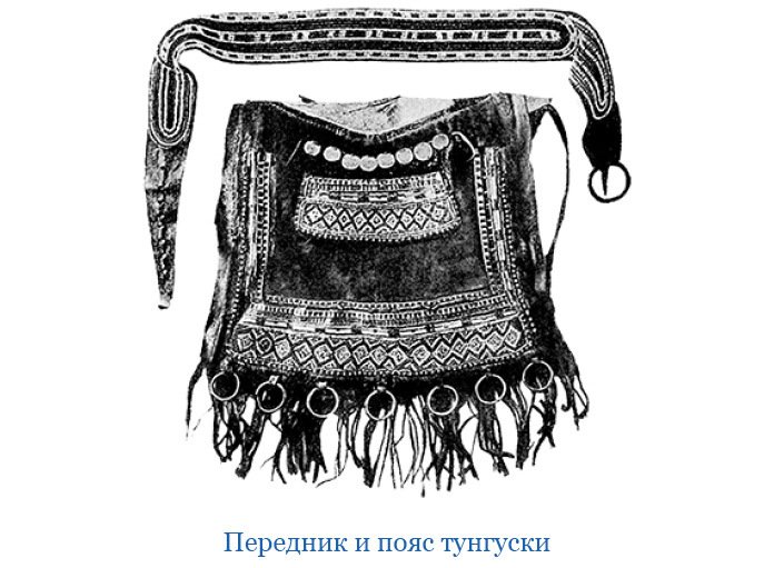 Путешествие по Сибири и Ледовитому морю (с илл.) - i_041.jpg
