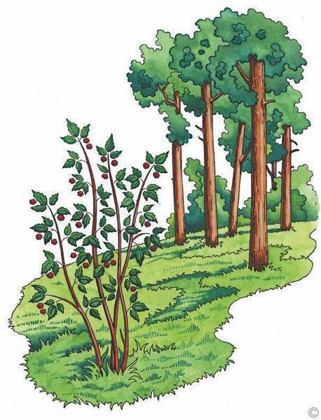 Литературное чтение - i_043.jpg